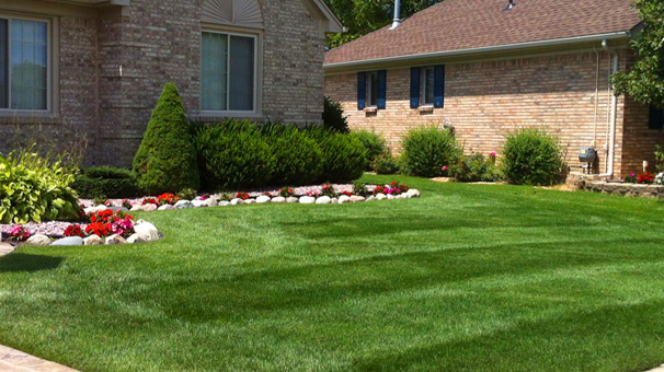 Image of beautiful green lawn