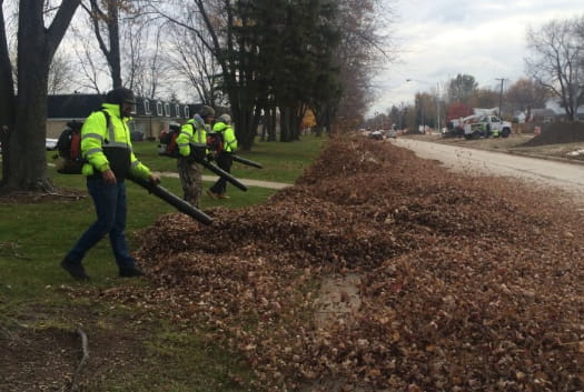 Fall leaf removal