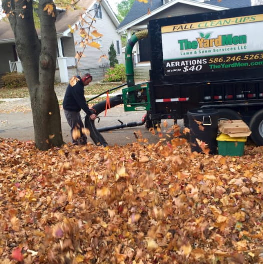 The Yard Men Lawn and Snow Service